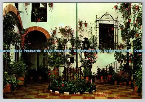 D317051 Marbella. Costa del Sol. Terrassentipico