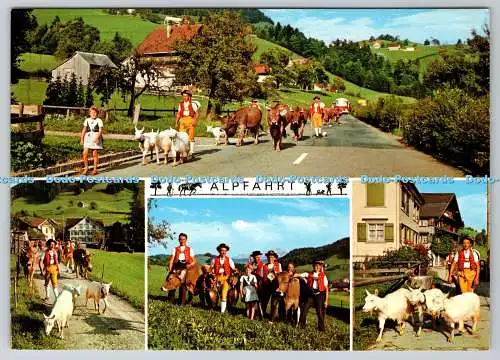 D317066 Alfahrt. Agfacolor. Foto Gross St Gallen O St Fiden. Multi View