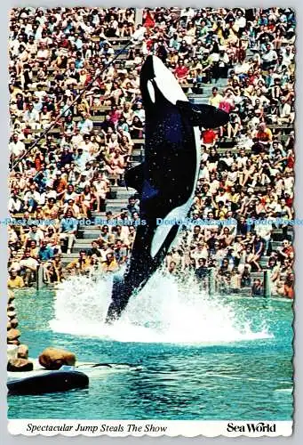 D322311 Spektakulärer Sprung stiehlt die Show. Shamu. Sea World Inc. GP5 San Diego CA