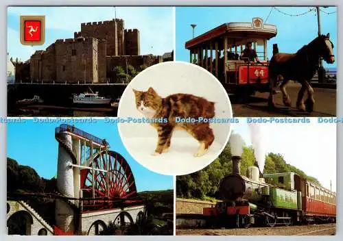 D317102 Castle Rushen. Manx Kat. Straßenbahn. Laxey Rad. Dampfeisenbahn. Fisa G. B. Lt