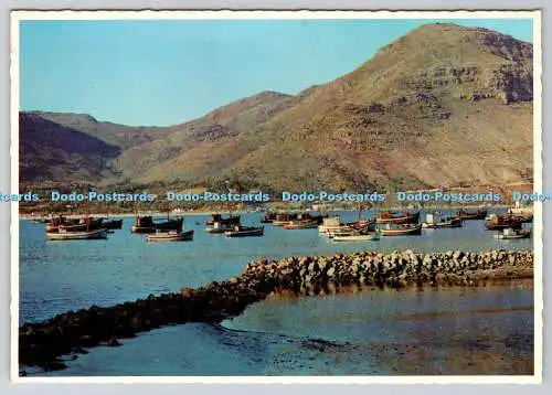 D317165 Angelboote liegen in Hout Bay vor Anker. Cape. Südafrika. Protea C
