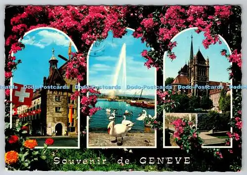 D314347 Souvenir de Geneve. Place du Molard. Le jet d eau et les cygnes. Kathedrale