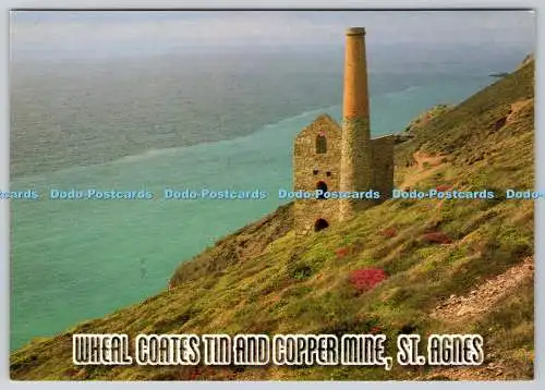 D317167 Wheal Coates Zinn- und Kupfermine. Hl. Agnes. Cornwall. Phillip Fenton. Jo