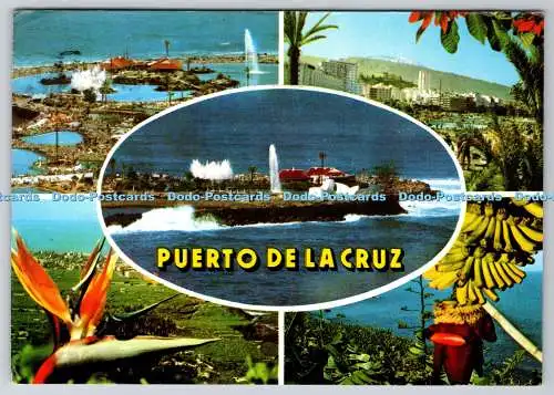 D314362 Puerto de la Cruz. Ferienzentrum Tenerife. Euroafricana de Canarias. S