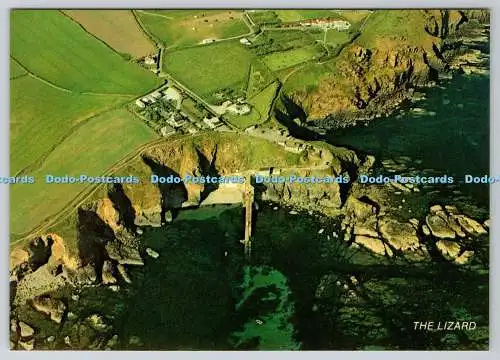 D317182 Die Eidechse. Skyshot Serie. Murray King. Studio Casa Mia. St Ives. Cornw
