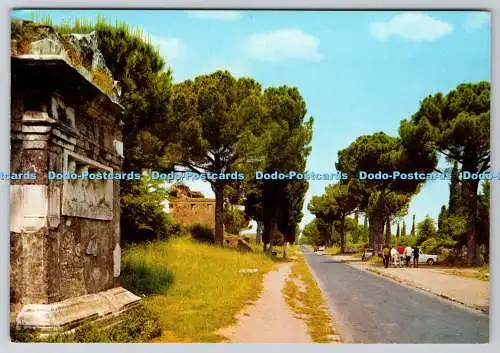D313392 Roma. Appia Antica Street. Kodak Ektachrome. Multigraf Terni
