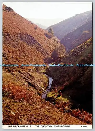 D322485 The Shropshire Hills. Der Longmynd. Asche hohl. Richter. Hastings