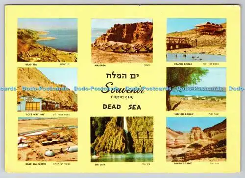 D314436 Souvenir aus dem Toten Meer. Palphot. Herzlia. Israel. N. 7363. Postkarte.