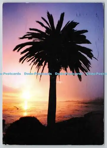 D322490 Sonnenuntergang im Meer. 2005