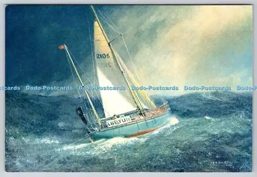 D314441 Einzelsegler. Laurence Bagley. J. Arthur Dixon. Newport. Naturfotografie
