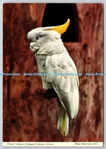 D322493 Birdland. Paradies der tropischen Vögel. John Hinde. PM Banbury Oxon. 1974