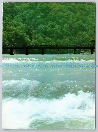 D322516 Arashiyama Park. Postkarte