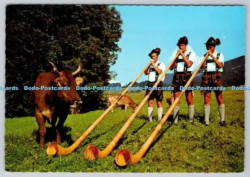 D314469 Alphornblaser. Franz Milz. Füssen. Allgäu. Postkarte