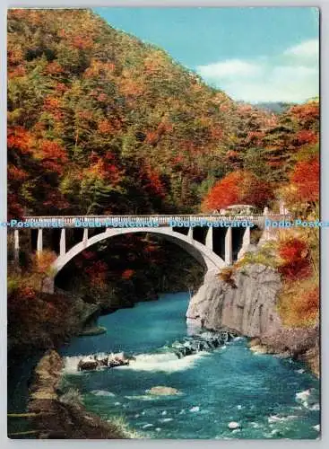 D322518 Der Eingang von Shosenkyo. Nagatoro Brücke
