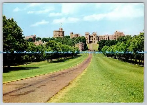 D313487 The Long Walk und Windsor Castle. J. Arthur Ltd. Newport. I.W. England