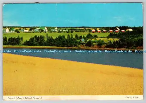 D313491 Prince Edward Island Pastoral. E. Otto. Jede Ecke. PM Mount Stewart.