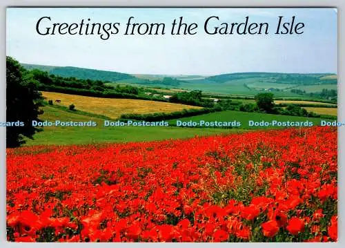 D317301 Garden Isle. Carisbrooke. Isle of Wight. J. Arthur Dixon. Newport. I.B