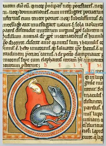 D322540 Der Luchs. Aus dem Ashmole Bestiarium. Bodleian Library. Oxford. Akademisc