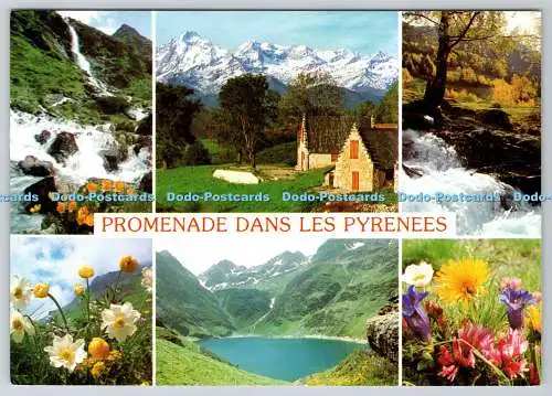 D317308 Les Pyrenees. S.A. Apa Poux. Albi. AS de Coeur. La Carte Postale Europe