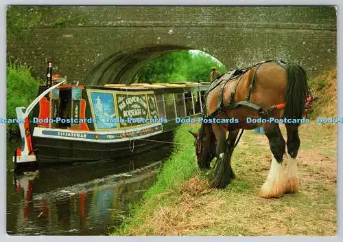 D314491 Ruhezeit am Schnitt. Pferd. J. Salmon. Sevenoaks. Kamerafarbe Postkarte