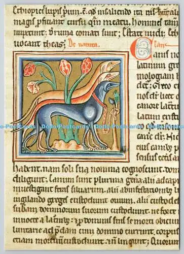 D322542 Das Wesen der Hunde. Aus dem Ashmole Bestiarium. Bodleian Library. Oxf