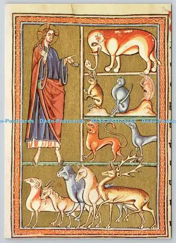 D322558 Die Tiere, die am sechsten Tag der Schöpfung gemacht wurden. Aus dem Ashmole Bestiarium