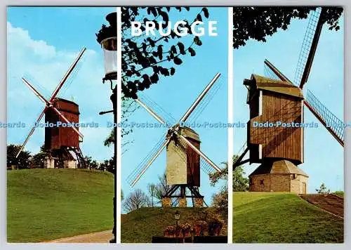 D314512 Belgien. Brügge. Thill. N. V. Brussel. Nels. Postkarte. Multi View