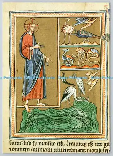 D322563 Die Erschaffung der Tiere der Erde und des Himmels. Aus dem Ashmole Bestiarium.