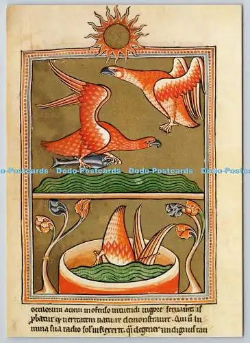 D322570 Der Adler. Aus dem Ashmole Bestiarium. Bodleian Library. Oxford. Akademis