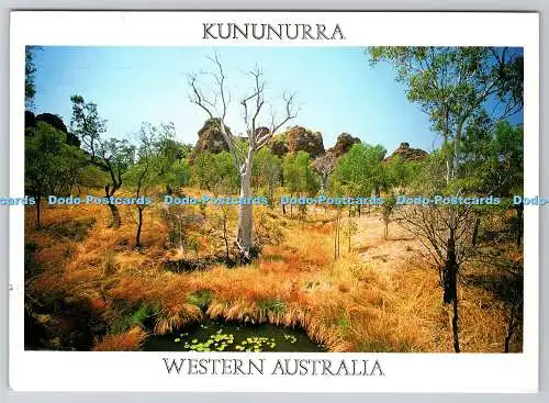 D317369 Kununurra. Western Australia. Hidden Valley National Park. Nucolorvue Pr