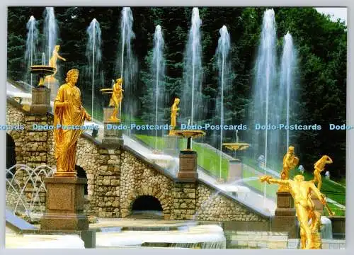 D317378 The Lower Park. The Great Cascade. Western Waterfall Steps. UdSSR