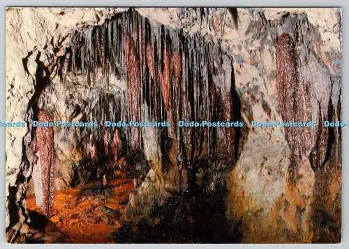 D317391 Eisenoxid-Stalaktiten und -Stalagmiten. Kupfermine Sygun. Beddgelert