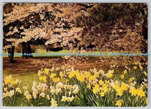 D317396 Royal Botanic Gardens. Kew. Krone. HPG Ltd