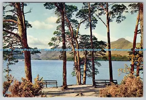 D317412 Derwentwater von Friars Crag. Katzenglocken. Borrowdale Fells. J. Arthur Dix