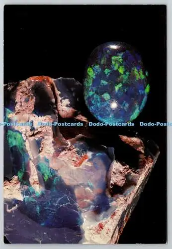 D322644 OPAL. Amorphes SiO2nH2O. Dreifache tatsächliche Größe. Massiv aus Queensla