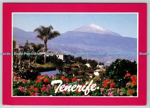 D314629 Islas Canarias. El Teide. Teneriffa. J. R. Anibarro H. Sol y Nieve Edicio
