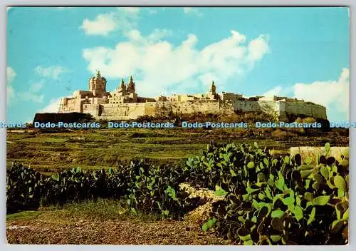 D313648 Malta G.C. Mdina. Die Dombibliothek. Sliema