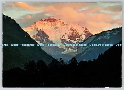 D314634 Schweiz. Interlaken mit Jungfrau. Abendstimmung. Orell Fussli SA. Zu