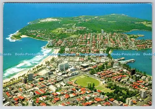D313651 Australien. Männlich. Sydney. Nucolorvue
