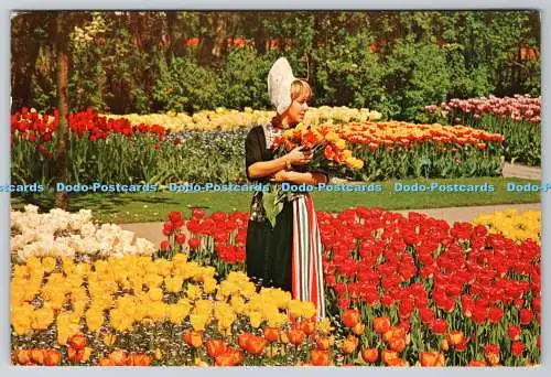D313652 Holland im Blumendekor. Euro Farbkarten. Rotterdam. PM Amsterdam.