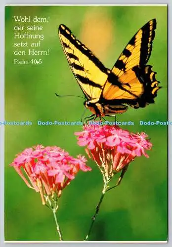 D322707 Wohl dem der seine Hoffnung setzt auf den Herrn. Psalm 40,5. Fatzer Verl