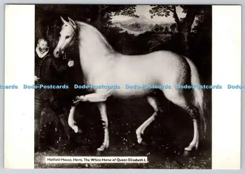 D313707 Hatfield Horse. Herten. The White Horse of Queen Elizabeth I. English Lif