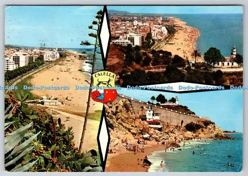 D319139 Calella. Pergamino. Tanne. Nico. Multi View