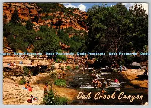 D313745 Dak Creek Canyon. Arizona. Randy Prentice. Smith Southwestern Inc. SSI.