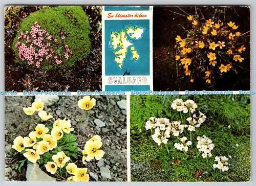 D317557 Norwegen. En blomster hilsen fra Svalbard. Knut Anne Kunstforlag AS. Ultra