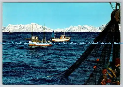 D317559 Norwegen. Angeln auf den Lofoten. Knut Anne Kunstforlag AS. Ultra. Postkarte