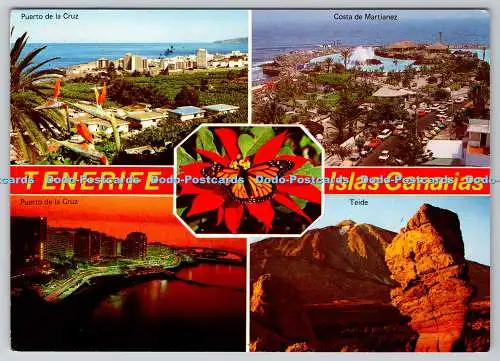 D313749 Tenerife Islas Canarias. H. Ziethen. Juan Alvarez Leon. Puero de la Cruz