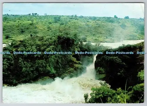 D317572 Uganda. Murchison Falls. PACA. Kampala. Postkarte