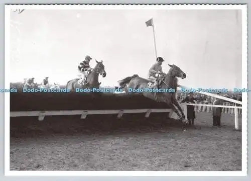 D314748 Pat Taaffe und Arkle. Rathconnell Handicap Hürde bei Naas 1968. Unabhängig