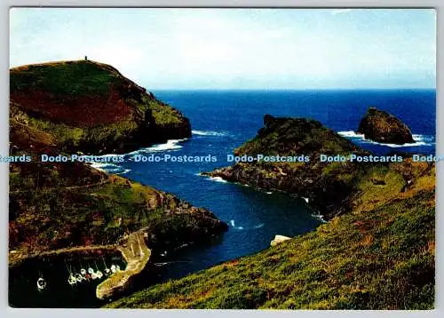 D313783 Boscastle. Willapark Point. F. L. Dew. J. Arthur Dixon